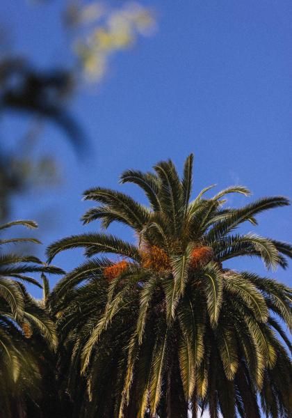 La Villa Cap d'Antibes - Standards de température